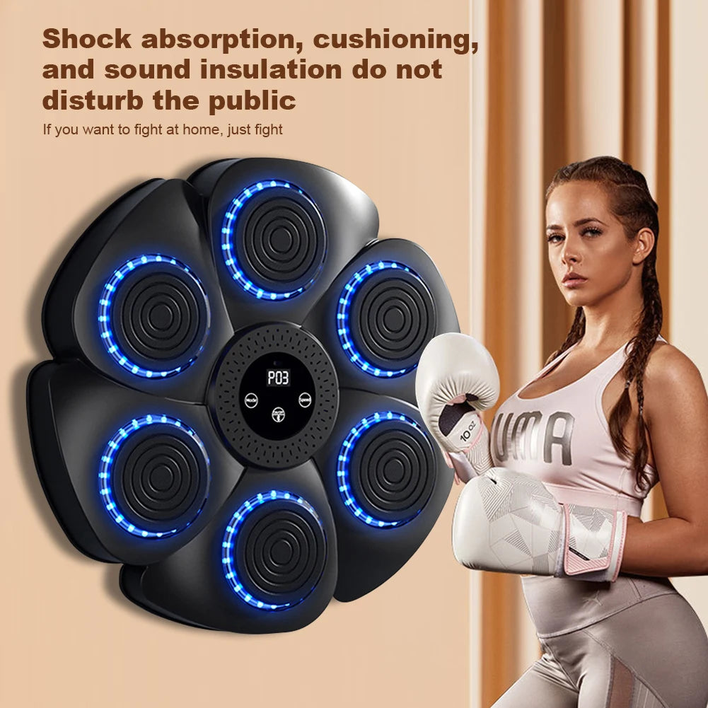 TunePunch boxing reflex trainer installed in a professional gym